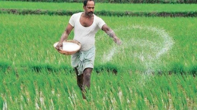 The government will buy 30 thousand tons of granular urea fertilizer