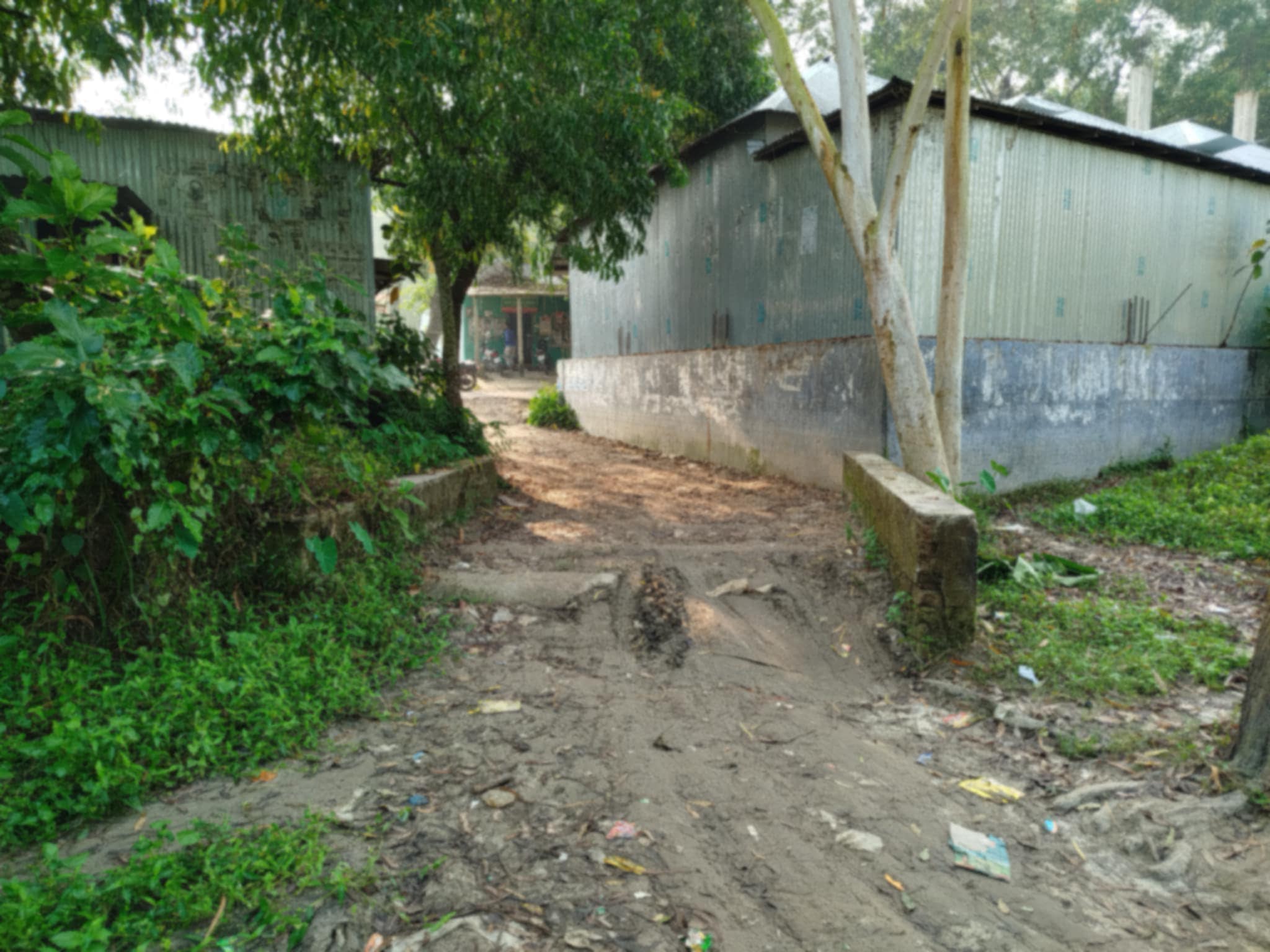 Chaurakarra-Malancha Road: 15 years of neglect have led to daily suffering for 10 villages