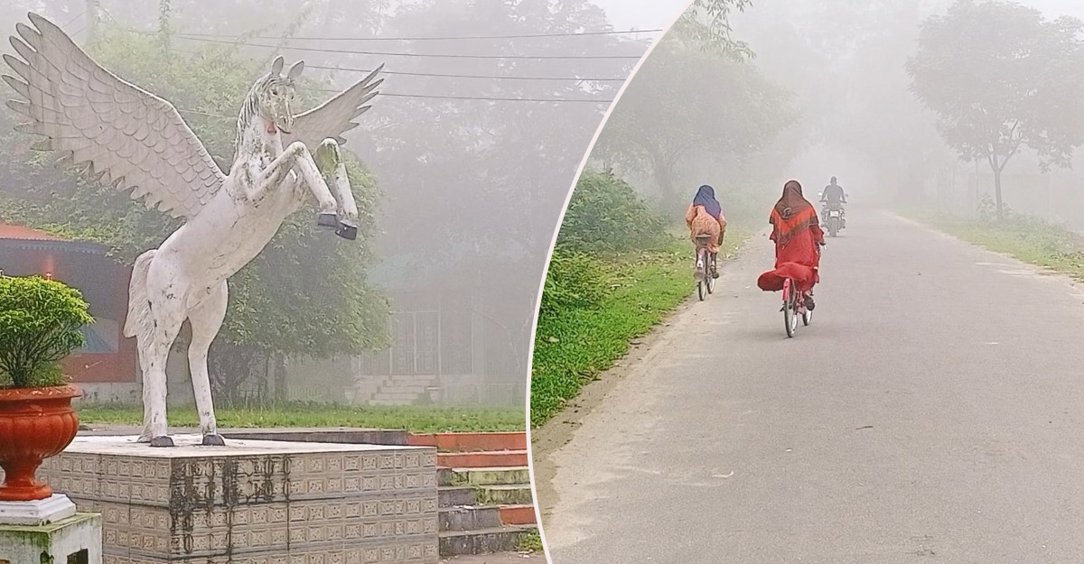 Dhaka Panchagarh in a blanket of fog, strong gusts of winter