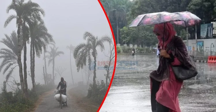 Rain forecast amid intense winter!