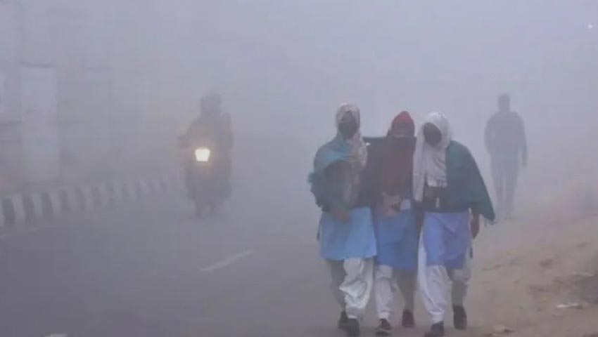 Sun not seen in Dinajpur for 5 consecutive days, severe cold disrupts public life!