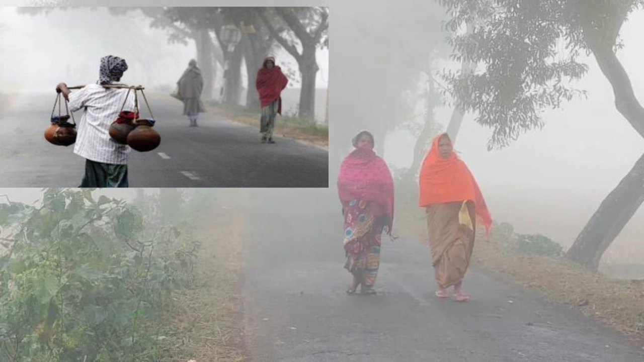 Tentulia records lowest temperature of the season at 14.5 degrees