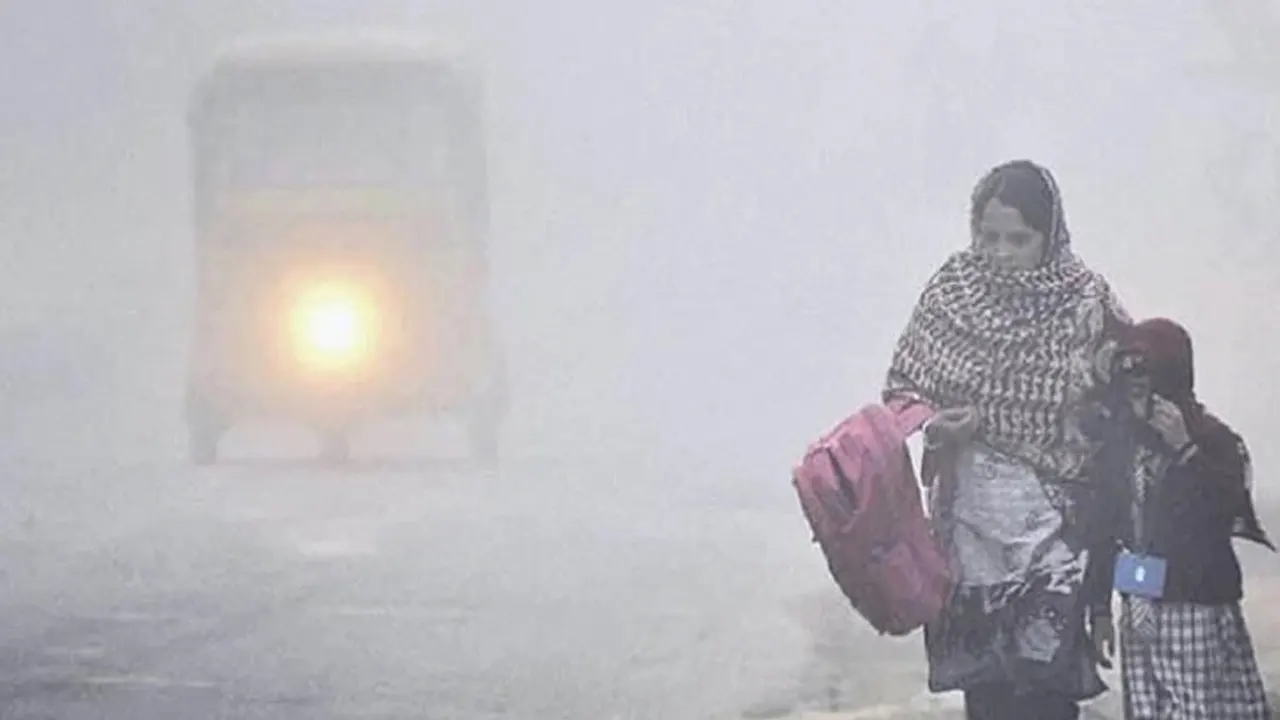 New weather forecast: 10 cold waves this winter