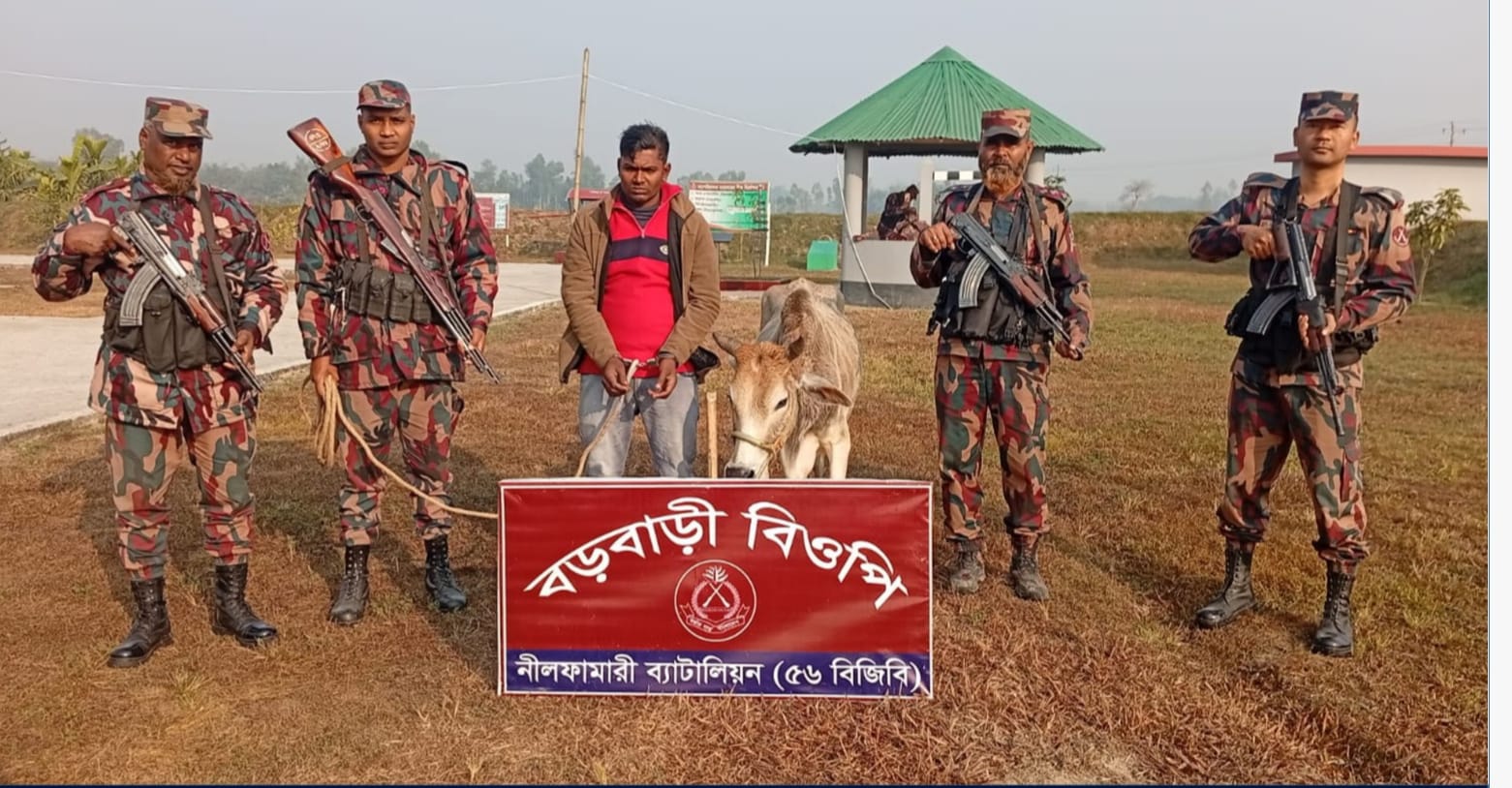 BGB conducts vigorous operation at Boda border: Smugglers arrested along with two Indian cows