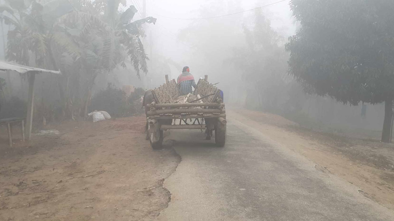 Severe cold wave in Tentulia, daughter of the Himalayas: Temperature drops to 7.3 degrees, public life in misery