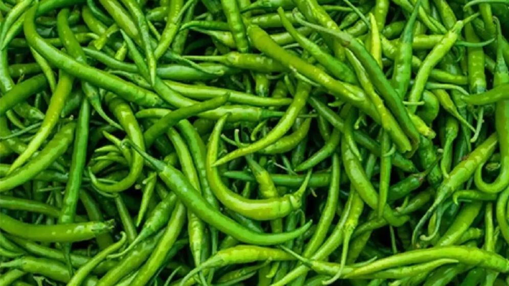 ২৮ টাকায় আমদানি, বাজারে ৩০০ টাকা, কাঁচামরিচে বড় কারসাজির অভিযোগ