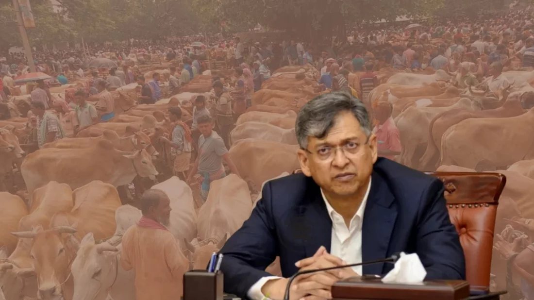 Hotline launched to stop extortion at livestock markets