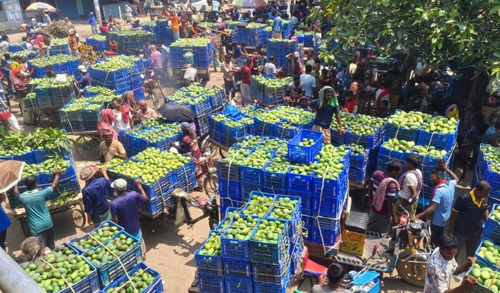 Mango prices plunge sharply, costs don't rise