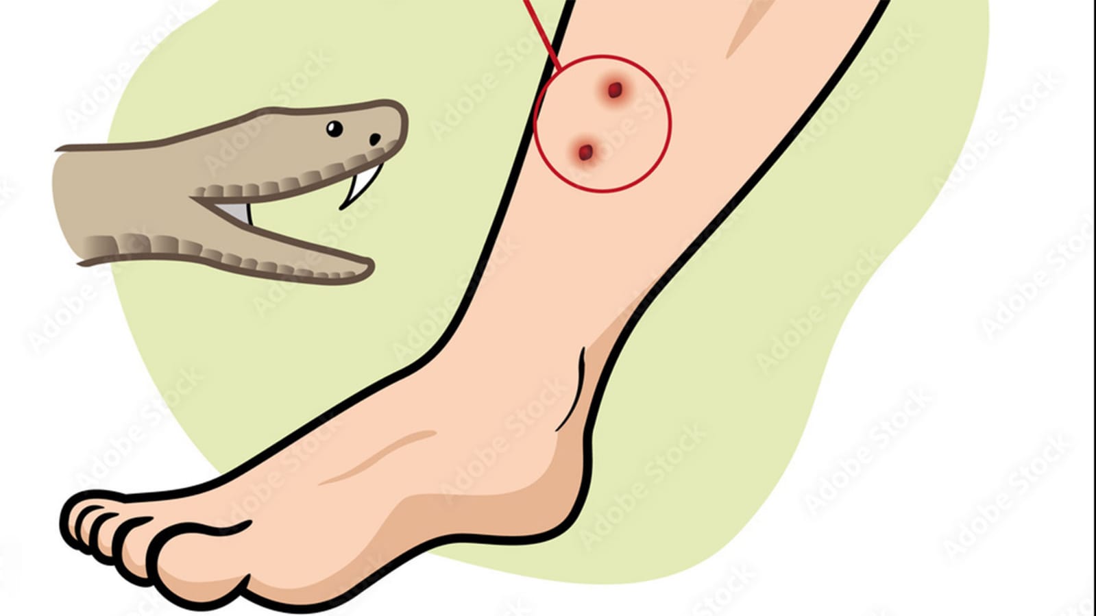 Former teacher dies of snake bite in Panchagarh, Kumartole village in mourning