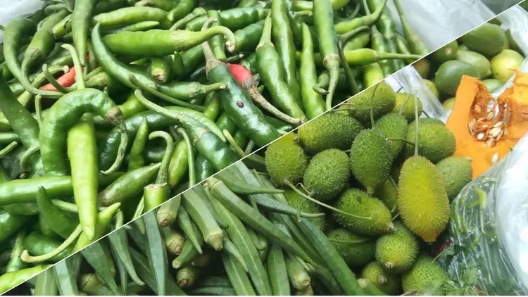 বর্ষার অজুহাতে বাজার আগুন: বেগুনের কেজি ১৫০, কাঁচা মরিচ ৪০০ ছুঁইছুঁই