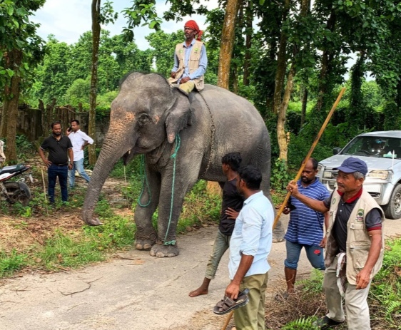 Two elephants die in safari park, then 'Samrat-Niharkoli' returned